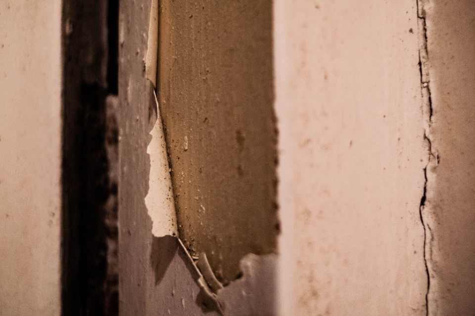 10/365: Peel